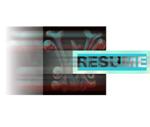 resume format word for medical representetive